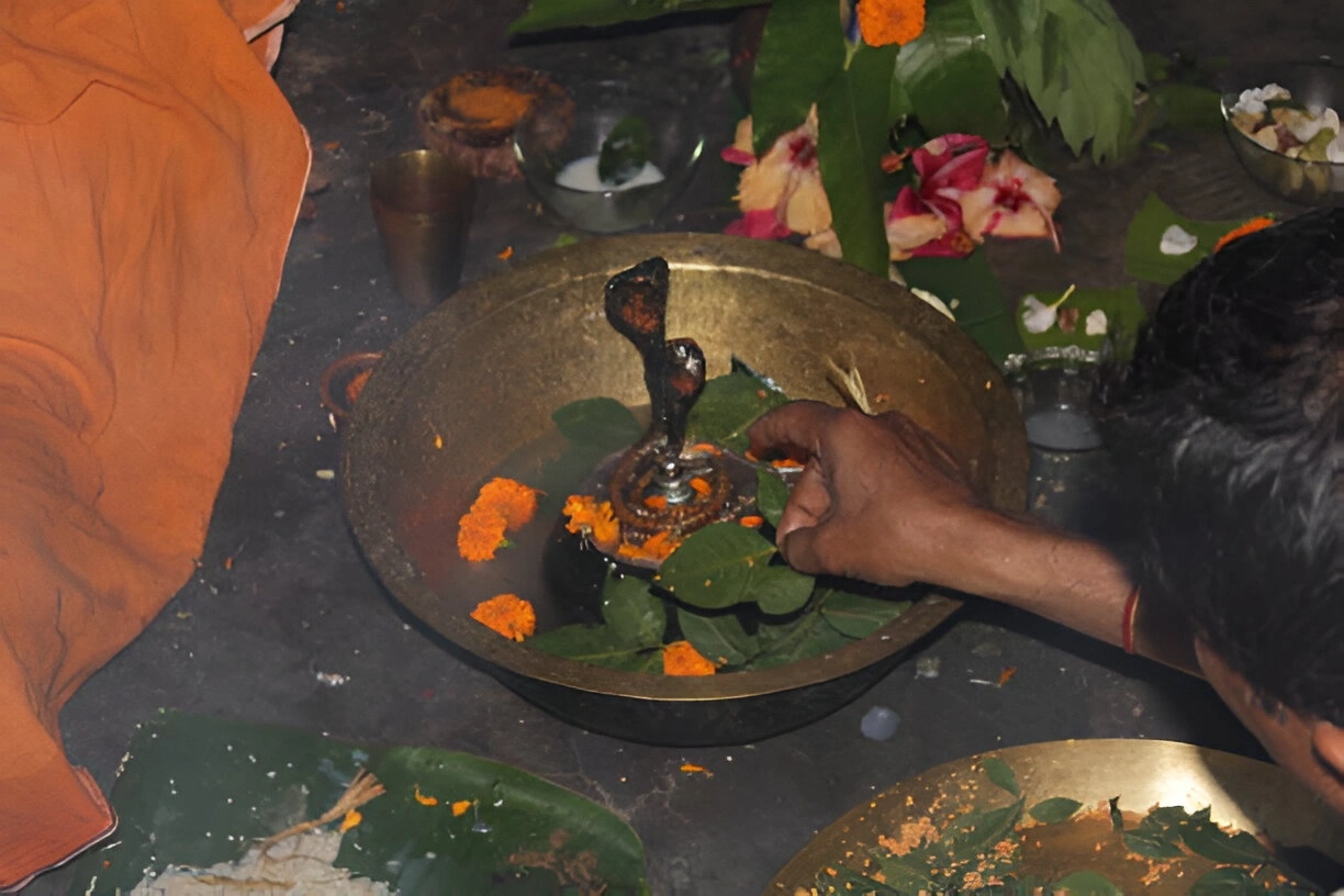 Kaalsarp Dosh Pooja