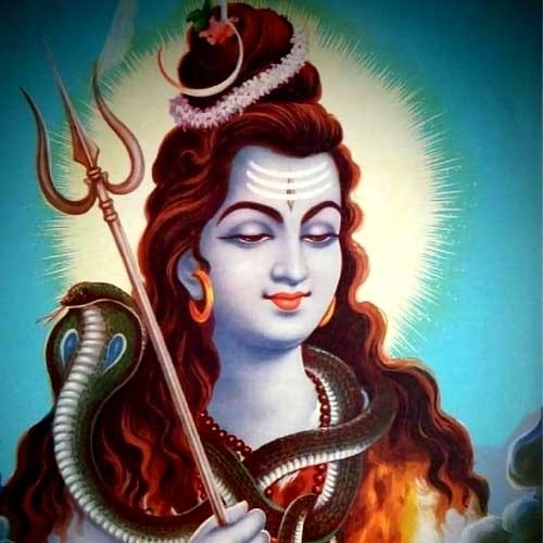 Astrology expert near Hazratganj Lucknow